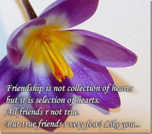 H-Friendship H-Friendship
