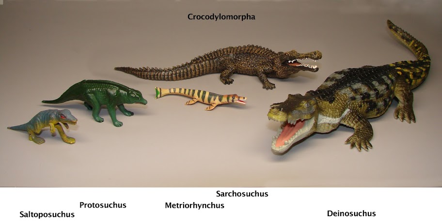 deinosuchus toy