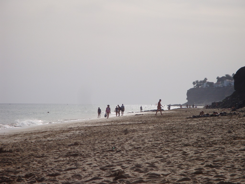 [DSC06079[12].jpg]