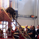 Rettungshunde Nuertingen - Messe Rescue 2004