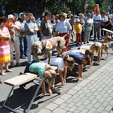 Rettungshundestaffel Nürtingen - Vorfuehrung Kreiskrankenhaus Kirchheim Juli 2004