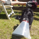 Rettungshunde Nürtingen - Ausbildungswoche Marbach 2004