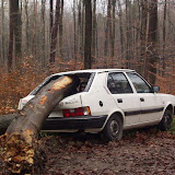 Rettungshunde Nürtingen - Übung Esslingen Schurwald 2002