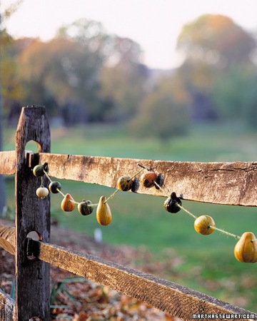 [gt02novmsl_gourds02_xl[7].jpg]