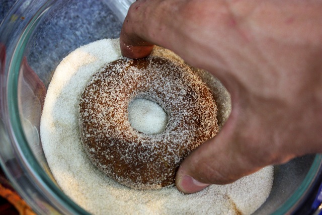 [donut5[4].jpg]