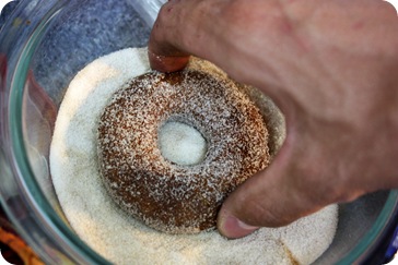 donut5
