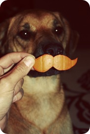cody1
