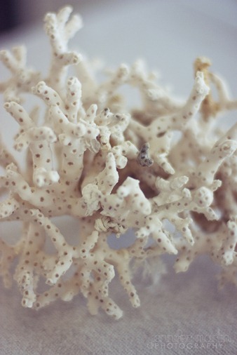 coral