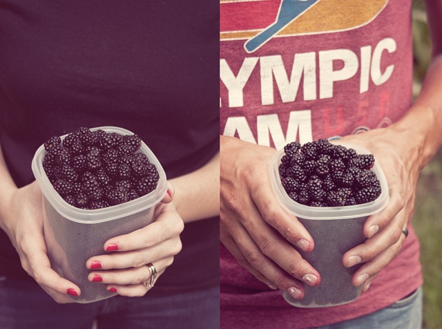 [BERRY DIPTYCH[6].jpg]