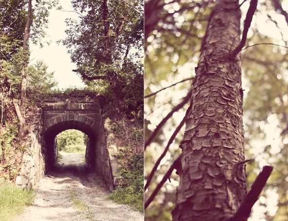 treediptych