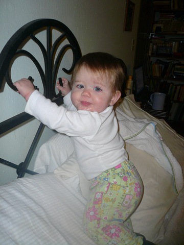 [P1070222[3].jpg]