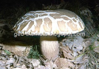 [clip_image001[9].jpg]