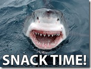 snack-time-shark
