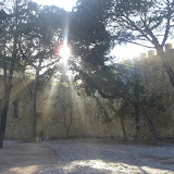 Magia