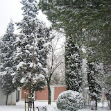 La Quinta de los molinos