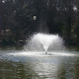 CIMG0454.JPG