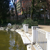CIMG0456.JPG