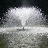 CIMG0458.JPG