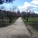 CIMG0448.JPG