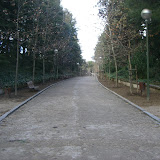 CIMG0471.JPG