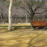 CIMG0477.JPG