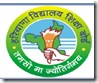 boardlogo