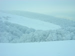 http://lh5.ggpht.com/_Q-b3D5rJSGo/S1LvuU6xSEI/AAAAAAAAB2g/YweK-ZmY7v0/Vosges2010%20%28115%29.jpg