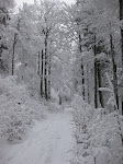 http://lh5.ggpht.com/_Q-b3D5rJSGo/S1LxAqUIfeI/AAAAAAAAB5o/ZfP414ZALjk/Vosges2010%20048.jpg