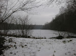 http://lh5.ggpht.com/_Q-b3D5rJSGo/S3Lh1fPtAMI/AAAAAAAACgU/3_8CEywyUlY/Riezes%20028.jpg