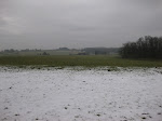 http://lh5.ggpht.com/_Q-b3D5rJSGo/S3Lh7h7ATuI/AAAAAAAAChY/G1nIZ8v9ESI/Riezes%20057.jpg
