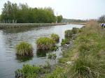http://lh5.ggpht.com/_Q-b3D5rJSGo/S9Uq8qU1lmI/AAAAAAAADB8/X_E6iZL1nLk/P1030895.JPG