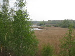 http://lh5.ggpht.com/_Q-b3D5rJSGo/S9V2VXRCiuI/AAAAAAAADDA/azSgZVHt9pU/MarchiennesFR%20005.jpg
