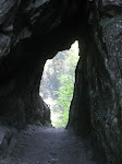 http://lh5.ggpht.com/_Q-b3D5rJSGo/S_0BJTeCX1I/AAAAAAAADUU/M-8Ck3VCET4/VosgesMai2010%20353.jpg
