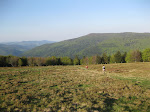 http://lh5.ggpht.com/_Q-b3D5rJSGo/S_z9zm8KHVI/AAAAAAAADPA/-OvFJuep5A0/VosgesMai2010%20182.jpg