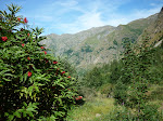 http://lh5.ggpht.com/_Q-b3D5rJSGo/StHmbAiHkUI/AAAAAAAAAPk/G8HAwxoVDNs/P1000147.JPG