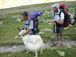 http://lh5.ggpht.com/_Q-b3D5rJSGo/StHnTYmKA4I/AAAAAAAAARA/b60KI_RRCrs/P1000156.JPG