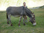 http://lh5.ggpht.com/_Q-b3D5rJSGo/StHnaYO-rRI/AAAAAAAAARM/W9tXtIJISPI/P1000159.JPG