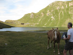 http://lh5.ggpht.com/_Q-b3D5rJSGo/StHnlHKLl1I/AAAAAAAAARk/1Rr51I2o1jM/IMG_4198.jpg