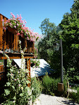 http://lh5.ggpht.com/_Q-b3D5rJSGo/StHoPqCZe1I/AAAAAAAAASo/DhZ8_BPCCUA/P1000171.JPG