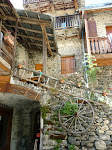 http://lh5.ggpht.com/_Q-b3D5rJSGo/StHoSK03d6I/AAAAAAAAASs/RjrAk4lCnTg/P1000172.JPG