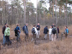 http://lh5.ggpht.com/_Q-b3D5rJSGo/SwvCzfJQRmI/AAAAAAAAAx4/bzPN1BgNEIc/CampineLommel%20081.jpg