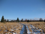 http://lh5.ggpht.com/_Q-b3D5rJSGo/SzicCOrow-I/AAAAAAAABkw/t7dK2AeSBLw/FagnesNordEst%20124.jpg