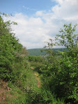 http://lh5.ggpht.com/_Q-b3D5rJSGo/TAOiRclkEBI/AAAAAAAADgE/9ZloWDL-aeU/Riviere%20115.jpg