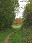 http://lh5.ggpht.com/_Q-b3D5rJSGo/TMVKVOcXzTI/AAAAAAAAETs/PhTUoP8IcJ8/Neubempt%20016.jpg