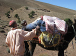 http://lh5.ggpht.com/_Q-b3D5rJSGo/TNb1YIMGaOI/AAAAAAAAEuA/Ndj6tKQ6Znc/MarocBest%20%28414%29.JPG