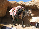 http://lh5.ggpht.com/_Q-b3D5rJSGo/TNbs3l8IylI/AAAAAAAAEcA/CSIdfS2rVc0/MarocBest%20%28143%29.JPG