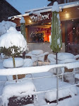 http://lh5.ggpht.com/_Q-b3D5rJSGo/TPvsNP4Nd3I/AAAAAAAAE_s/AASOxcmqhOA/P1040601.JPG