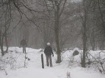 http://lh5.ggpht.com/_Q-b3D5rJSGo/TQXwrTbCPSI/AAAAAAAAFDU/TgYWmL6qxZ4/FagnesNordEstDEC2010%20004.jpg