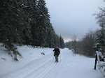 http://lh5.ggpht.com/_Q-b3D5rJSGo/TRhe4SljPOI/AAAAAAAAFLw/TxrE-SFSpBM/LosheimergrabenSkideFond%20066.jpg
