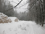 http://lh5.ggpht.com/_Q-b3D5rJSGo/TRheAbHrk4I/AAAAAAAAFKA/U47hrVGrDmo/LosheimergrabenSkideFond%20004.jpg